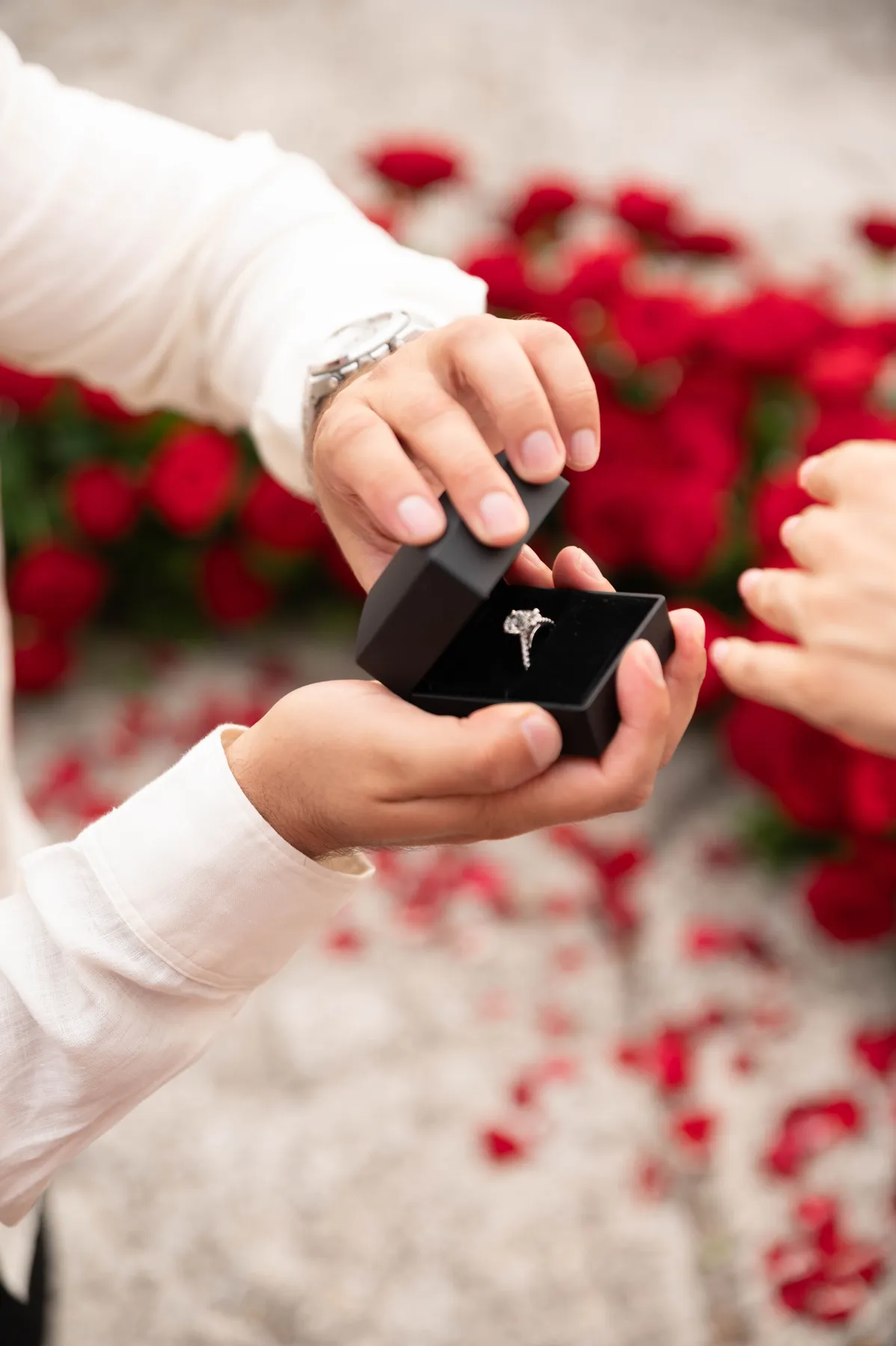 A fully planned proposal on the French Riviera
