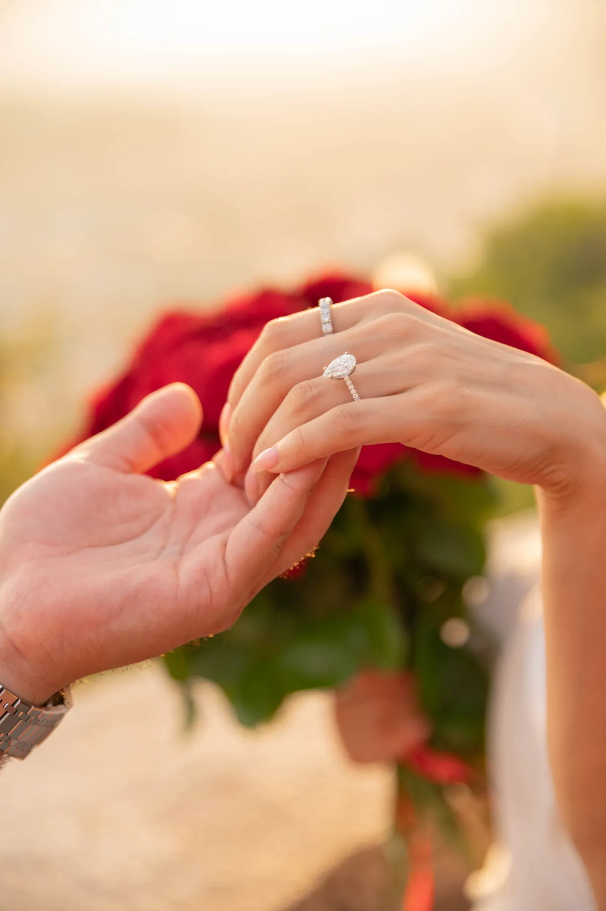 A fully planned proposal on the French Riviera