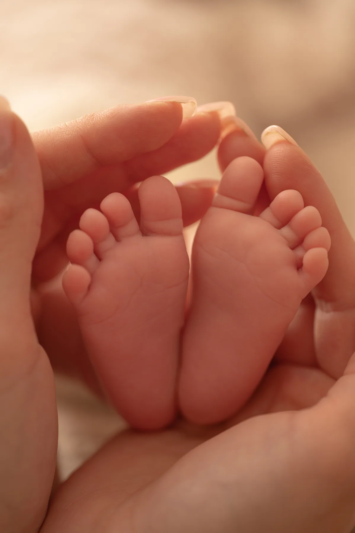 A newborn's feet held in her mother's hands