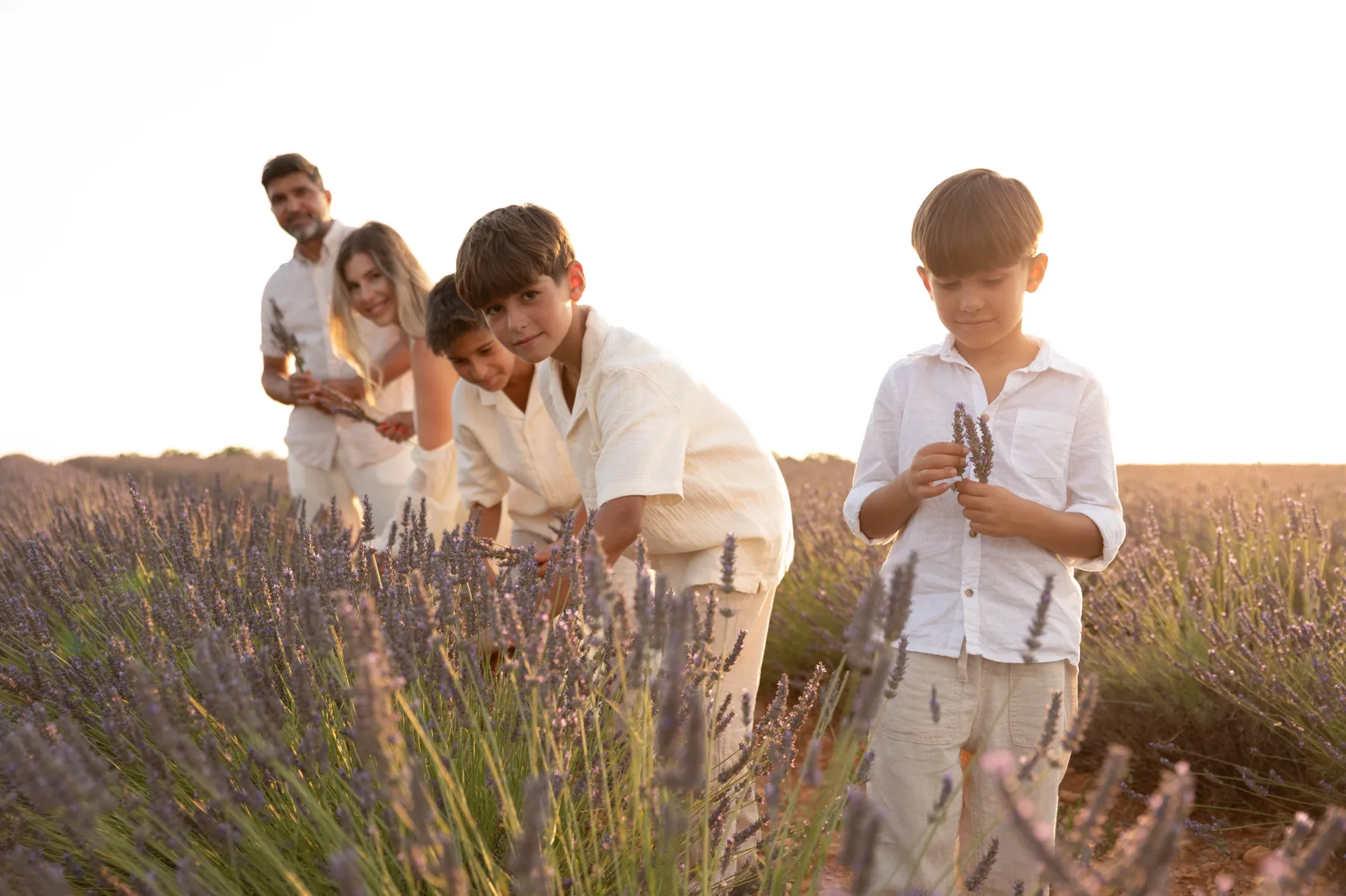 A family walking through a lavender field